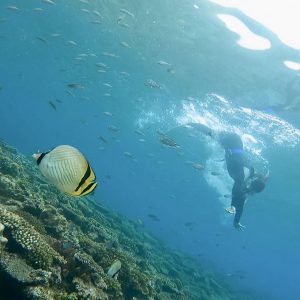 恩納村シュノーケリング