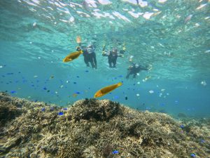 沖縄シュノーケリング