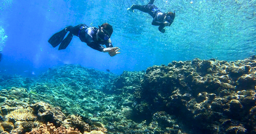 オーダーメイドツアー