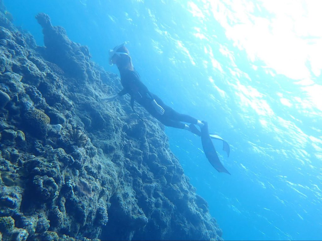 泳ぐ姿勢・フィンの動かし方のコツ
