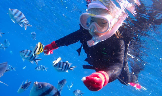 沖縄青の洞窟とは