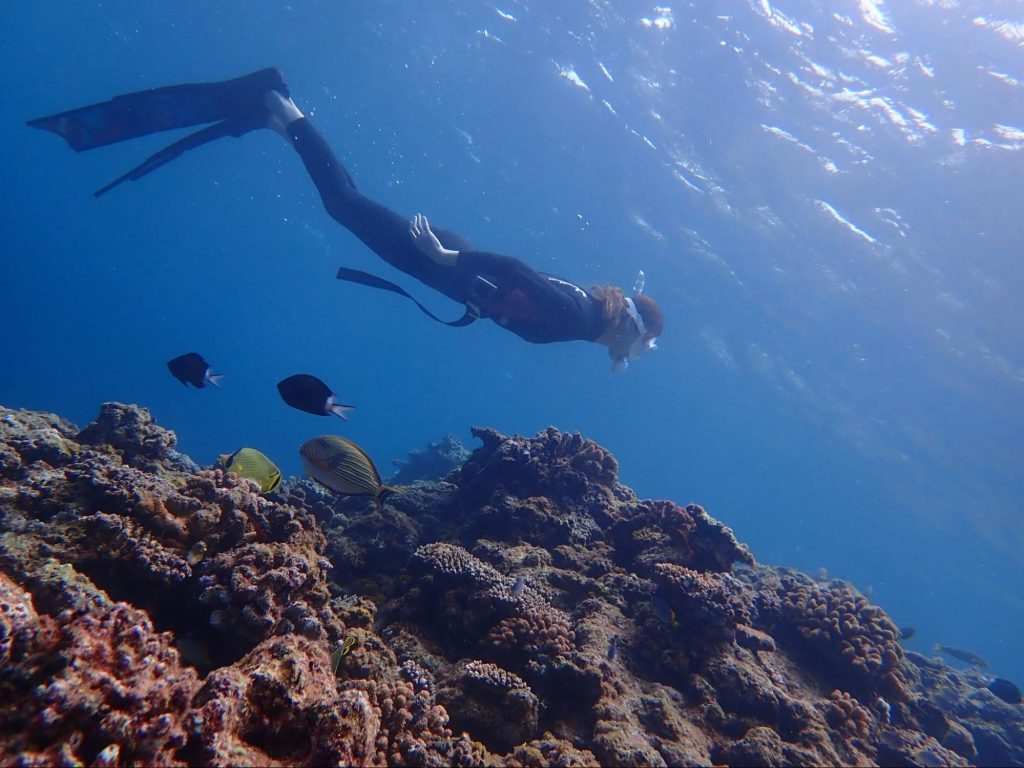 スキンダイビングの基本装備や耳抜きのコツ
